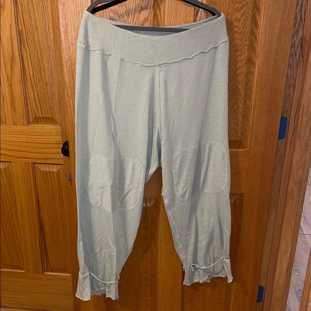 Free people pants